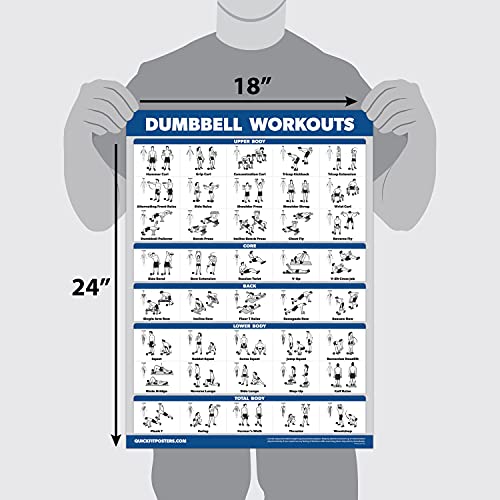 Palace Learning Póster de ejercicios de entrenamiento con mancuernas, laminado, guía de entrenamiento con pesas | Tabla de gimnasio en casa | Doble cara – 45,7 x 68,5 cm, 18" x 27", LAMINATED