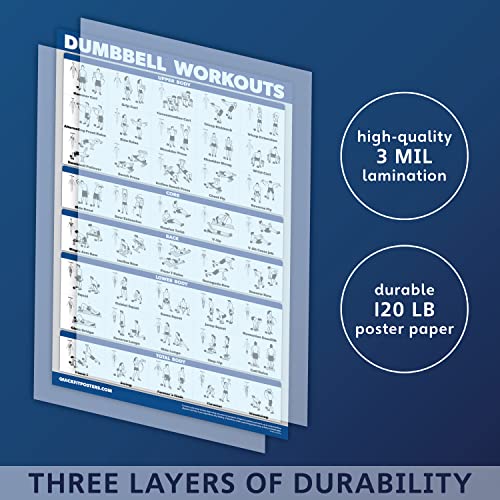 Palace Learning Póster de ejercicios de entrenamiento con mancuernas, laminado, guía de entrenamiento con pesas | Tabla de gimnasio en casa | Doble cara – 45,7 x 68,5 cm, 18" x 27", LAMINATED