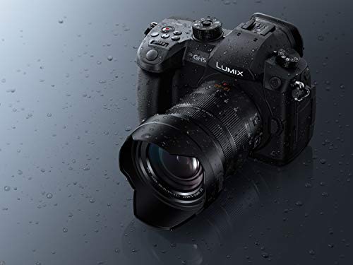 Panasonic Lumix DC-GH5L - Cámara EVIL de 20.3 MP, Pantalla de 3.2", Visor OLED, Estabilizador Dual I.S. 2 5 Ejes, 4K, Wi-Fi, Bluetooth, Kit con Objetivo Panasonic LEICA 12 - 60 mm/F2.8-F4