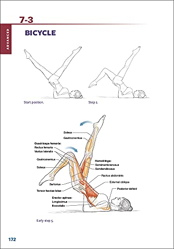 Pilates Anatomy