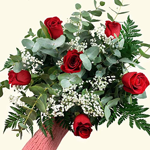 RAMO DE 6 ROSAS ROJAS NATURALES - ENTREGA EN 24 HORAS - FLORES FRESCAS - ANIVERSARIO