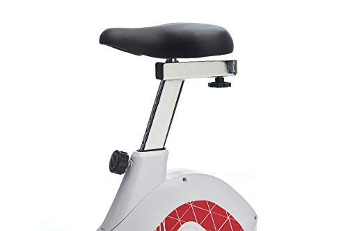 SALTER Bicicleta Ronda PT-1970, Adultos Unisex, Blanco, 110x52x148