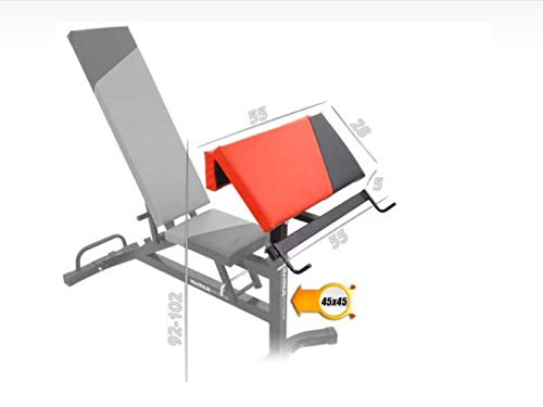 Scott-Bank Curl Pult - Banco de entrenamiento para bíceps (hasta 210 kg)