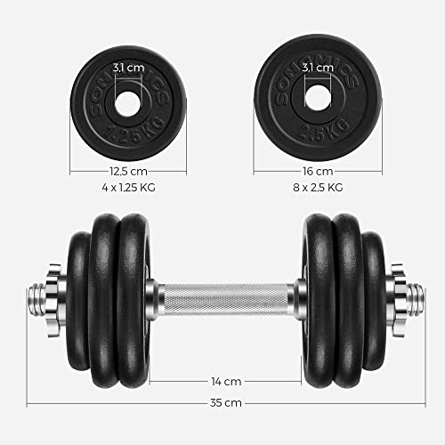 Songmics Juego de 2 Mancuernas de Fitness, Para Hombres, Discos de Hierro Fundido, 30Kg Syl30T