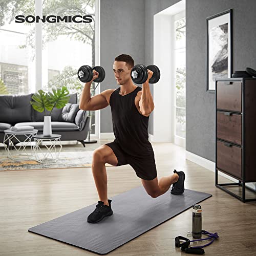 Songmics Juego de 2 Mancuernas de Fitness, Para Hombres, Discos de Hierro Fundido, 30Kg Syl30T