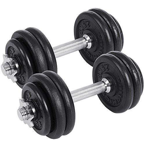 Songmics Juego de 2 Mancuernas de Fitness, Para Hombres, Discos de Hierro Fundido, 30Kg Syl30T