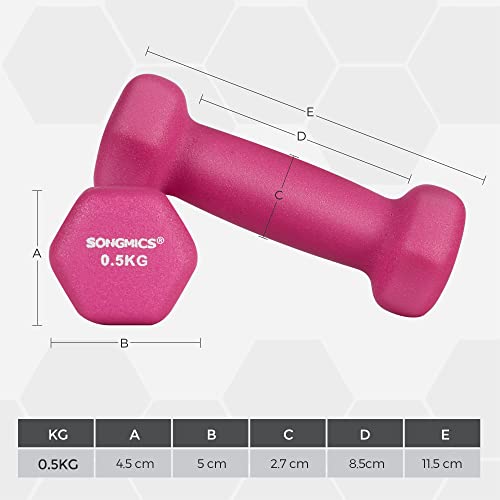 SONGMICS Juego de 2 Mancuernas para Gimnasio y Entrenamiento 2 x 0,5 kg SYL61PK