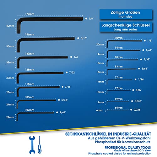 S&R Juego de 30 llaves Allen hexagonales en Pulgadas y millimetros. Llaves largas y pequeñas para Coche, Moto, Bicicleta