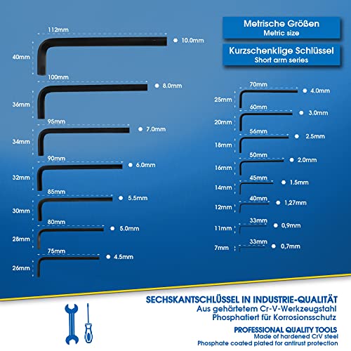 S&R Juego de 30 llaves Allen hexagonales en Pulgadas y millimetros. Llaves largas y pequeñas para Coche, Moto, Bicicleta