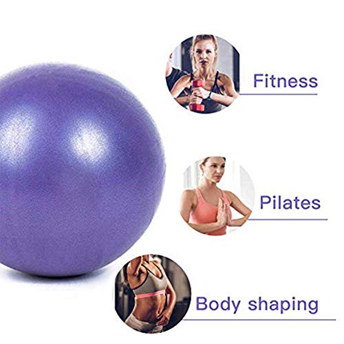 SWINILAYA Pelota de Ejercicios de Yoga y Pilates de 9,8 Pulgadas para Entrenamiento de Equilibrio de Estabilidad para Entrenamiento de núcleo, Mejora el Equilibrio