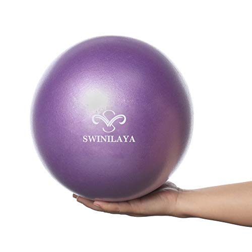 SWINILAYA Pelota de Ejercicios de Yoga y Pilates de 9,8 Pulgadas para Entrenamiento de Equilibrio de Estabilidad para Entrenamiento de núcleo, Mejora el Equilibrio