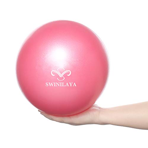 SWINILAYA Pelota de Ejercicios de Yoga y Pilates de 9,8 Pulgadas para Entrenamiento de Equilibrio de Estabilidad para Entrenamiento de núcleo, Mejora el Equilibrio