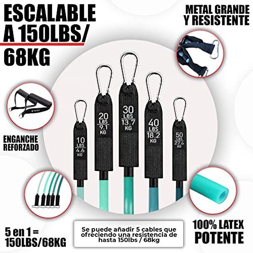 TACKLY Gomas elásticas musculación hasta 150 LB / 68kg con Accesorios Ejercicio Fitness - Kit Gym en casa con 5 Niveles Bandas elasticas de Resistencia - Cintas / Cuerdas elásticas Deporte hogar