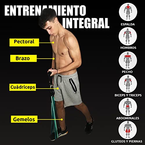 TACKLY Gomas elásticas musculación hasta 150 LB / 68kg con Accesorios Ejercicio Fitness - Kit Gym en casa con 5 Niveles Bandas elasticas de Resistencia - Cintas / Cuerdas elásticas Deporte hogar