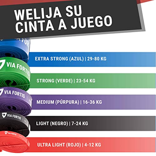 VIA FORTIS Banda Elástica de Resistencia Cuerda de Fuerza para Fitness, Crossfit, Pilates, Estiramientos| Incluye Bolsa de Transporte | 5 Niveles de Resistencia Diferentes (4 - Strong (Verde))