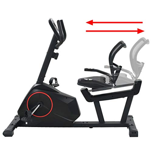 vidaXL Bicicleta Estática Reclinable Masa Rotatoria 10 kg Fitness Ejercicio