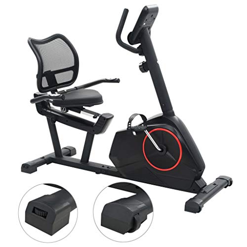 vidaXL Bicicleta Estática Reclinable Masa Rotatoria 10 kg Fitness Ejercicio