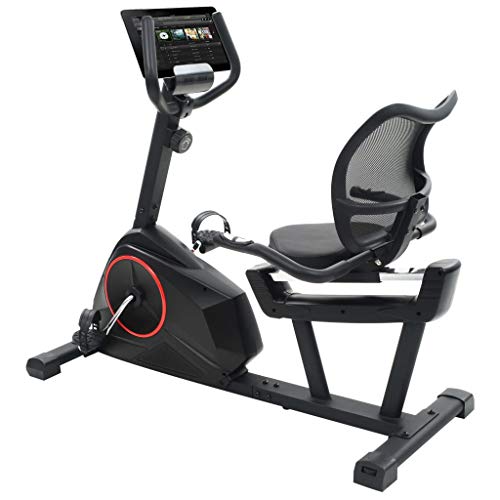 vidaXL Bicicleta Estática Reclinable Masa Rotatoria 10 kg Fitness Ejercicio