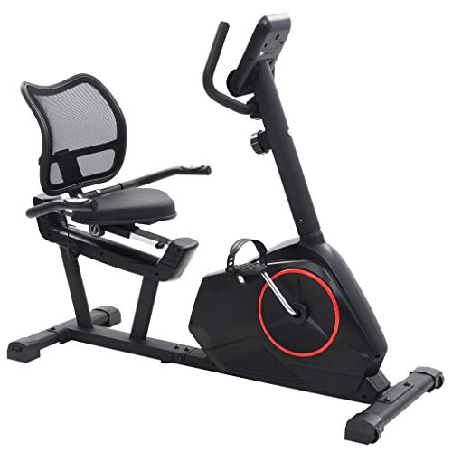 vidaXL Bicicleta Estática Reclinable Masa Rotatoria 10 kg Fitness Ejercicio