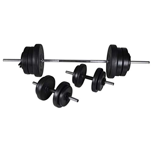 vidaXL Conjunto de Gimnacio Haltera + 2 Pesas 30,5Kg