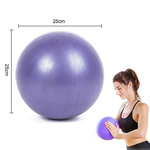 WELLXUNK® Pelota Ejercicio Pilates, Mini Pelota de Ejercicio de 25cm, Pilates Pelota Equilibrio, Deportiva Fitness Pelota de Entrenamiento Antiexplosión y Antideslizante, para Yoga, Pilates (Púrpura)