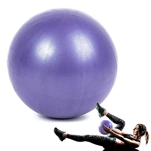 WELLXUNK® Pelota Ejercicio Pilates, Mini Pelota de Ejercicio de 25cm, Pilates Pelota Equilibrio, Deportiva Fitness Pelota de Entrenamiento Antiexplosión y Antideslizante, para Yoga, Pilates (Púrpura)