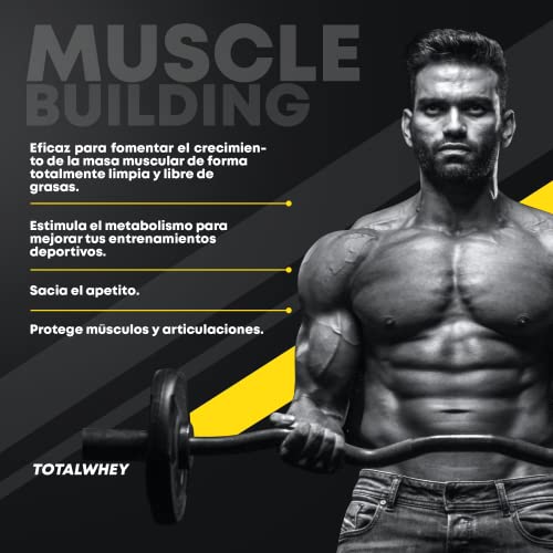 Whey Protein Colágeno y Magnesio, Rápida asimilación, Aumenta masa muscular, Mejora tus entrenamientos deportivos y favorece la correcta recuperación muscular, Doble Chocolate, 1000g