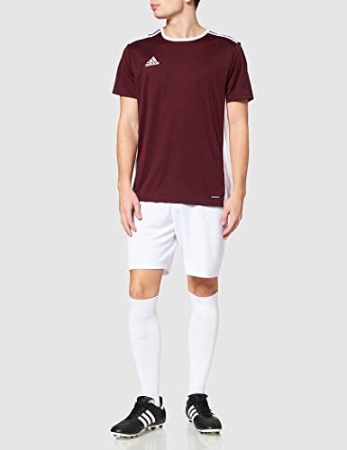 adidas Entrada 18 JSY T-Shirt, Hombre, Maroon/White, L