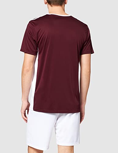 adidas Entrada 18 JSY T-Shirt, Hombre, Maroon/White, S