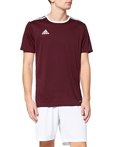 adidas Entrada 18 JSY T-Shirt, Hombre, Maroon/White, S