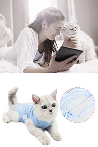 AEITPET Traje de recuperación Profesional para Gatos, Gata Camiseta de recuperación, heridas Abdominales Profesional para heridas, de recuperación quirúrgica Ropa Chaleco de pequeños Gatos (L, Azul)