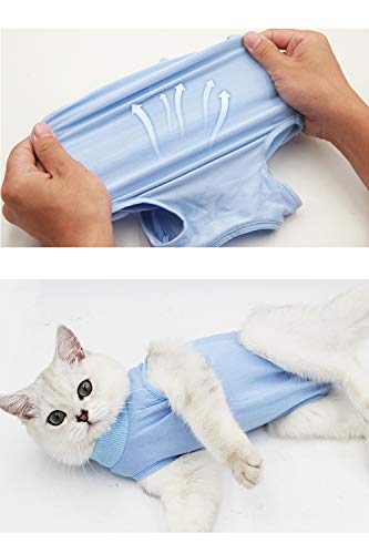 AEITPET Traje de recuperación Profesional para Gatos, Gata Camiseta de recuperación, heridas Abdominales Profesional para heridas, de recuperación quirúrgica Ropa Chaleco de pequeños Gatos (L, Azul)