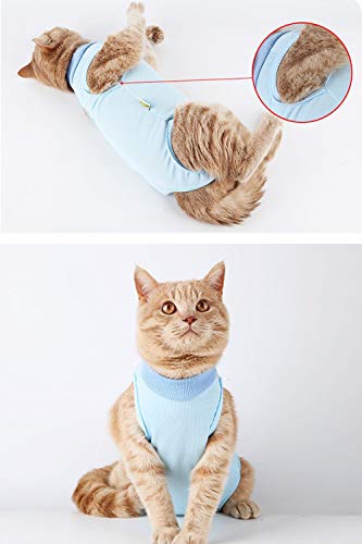 AEITPET Traje de recuperación Profesional para Gatos, Gata Camiseta de recuperación, heridas Abdominales Profesional para heridas, de recuperación quirúrgica Ropa Chaleco de pequeños Gatos (L, Azul)