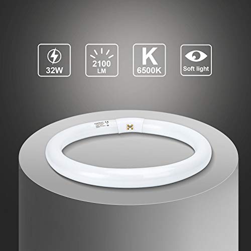 Aigostar - T9 Tubo Circular Fluorescente G10q, 32W, luz fria 6500K, 220-240V, 2100lm, 50Hz, 30cm.