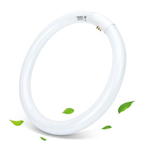 Aigostar - T9 Tubo Circular Fluorescente G10q, 32W, luz fria 6500K, 220-240V, 2100lm, 50Hz, 30cm.