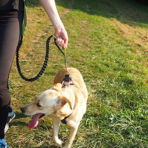 Aiqeer Correa Perros Manos Libres, Cinturones de Cintura Ajustables y Correas Elásticas, con Costuras Reflectantes, para Correr, Caminar, Trotar (Gris y Verde)