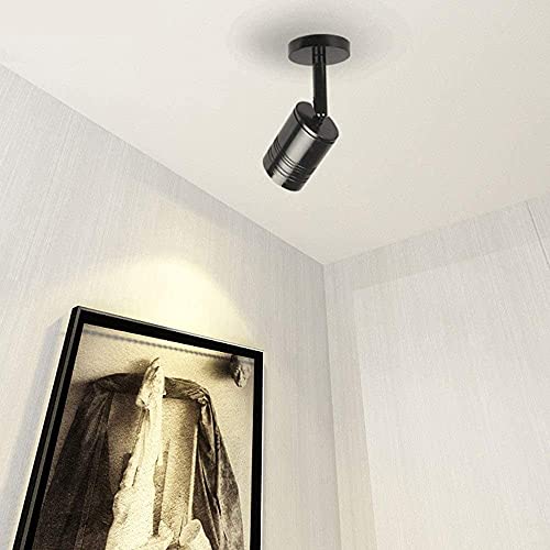 Ajustable 360 ​​° Instalación de la superficie moderna Instalación Fianza Láminas de aluminio Anti-deslumbramiento 3W Lámpara de techo Lámpara de techo Tienda de ropa de pared COB Downlight Montado en