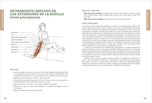 Anatomía de los estiramientos: Guía ilustrada para mejorar la flexibilidad y la fuerza muscular