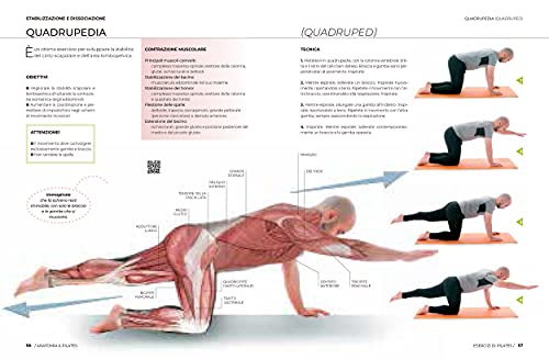 Anatomia & pilates. Più di 50 esercizi per approfondire la conoscenza dell'anatomia umana praticando il Metodo Pilates (Discipline)