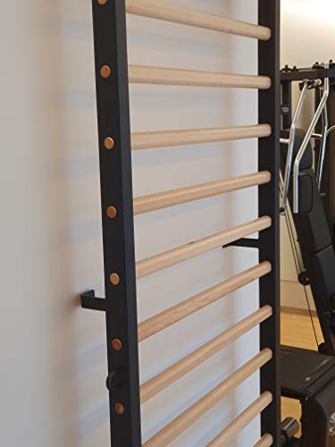 ARTIMEX espaldera Metal/Madera para Fisioterapia y Gimnasia - Utilizado en hogares, gimnasios, clínicas y centros de acondicionamiento físico - código 221-M-Negro