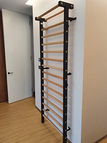 ARTIMEX espaldera Metal/Madera para Fisioterapia y Gimnasia - Utilizado en hogares, gimnasios, clínicas y centros de acondicionamiento físico - código 221-M-Negro