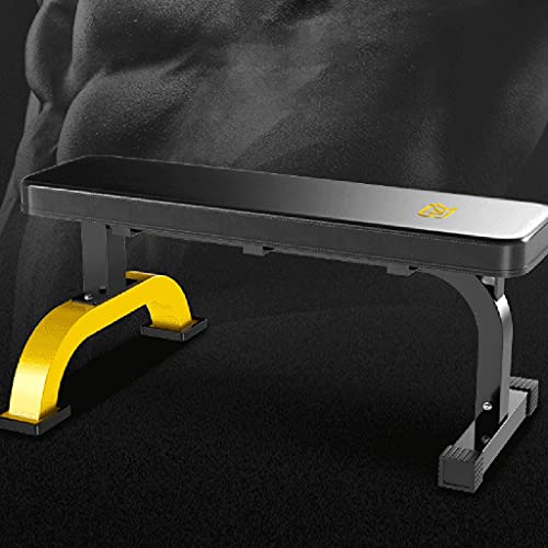 Banco Plano con Mancuernas Press de banca Profesional Silla de Fitness Ejercicios Abdominales Banco Plano Profesional para pájaros