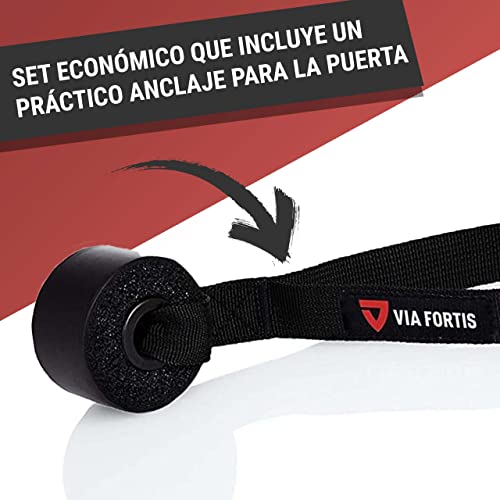 Bandas elasticas musculacion de VIA FORTIS - Gomas elasticas Fitness para su Entrenamiento en casa - con el Plan de Entrenamiento y la Bolsa - 5 Fuerzas Diferentes Disponibles