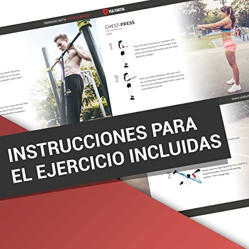 Bandas elasticas musculacion de VIA FORTIS - Gomas elasticas Fitness para su Entrenamiento en casa - con el Plan de Entrenamiento y la Bolsa - 5 Fuerzas Diferentes Disponibles