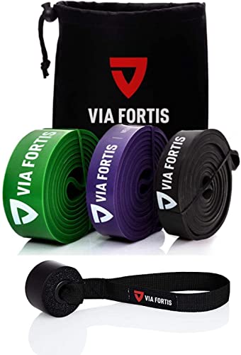 Bandas elasticas musculacion de VIA FORTIS - Gomas elasticas Fitness para su Entrenamiento en casa - con el Plan de Entrenamiento y la Bolsa - 5 Fuerzas Diferentes Disponibles