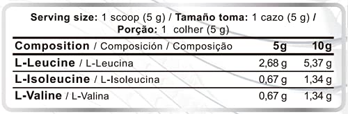 BCAA 4:1:1 | 500 g | Aminoácidos ramificados en polvo con sabor | BCAA en polvo con sabor | Leucina, isoleucina y valina 4:1:1 | Aminoácidos BCAA 4:1:1 en polvo con sabor (Naranja)