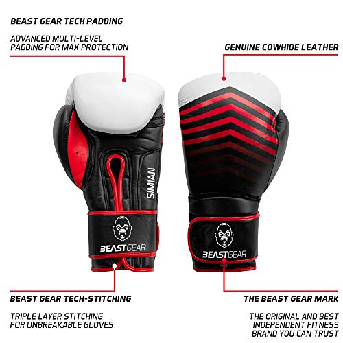 Beast Gear Guantes de Boxeo - Modelo Simian Guantes de Entrenamiento de Cuero de Vaca Genuino - para Saco de Boxeo, Almohadillas y Guantes de Combate - 12oz