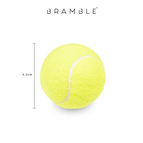 Bramble 15 Pelotas de Tenis - Bolas de Tenis con Bolsa de Malla de Transporte | Bolas de Práctica