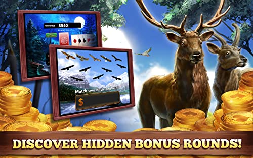 Buffalo Slots Jackpot Stampede: Bestias de la Suerte Casino Tragaperras del Viaje Salvaje