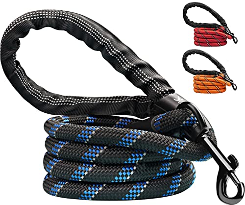 Candure Correa Perro con Mango Acolchado Suave y Nylon Sólido/Larga Reflectante Cuerda 5 ft Correas Perros Grande, Medianos y Pequeño - Adecuado para Adiestramiento,Correr y Senderismo (Negro)